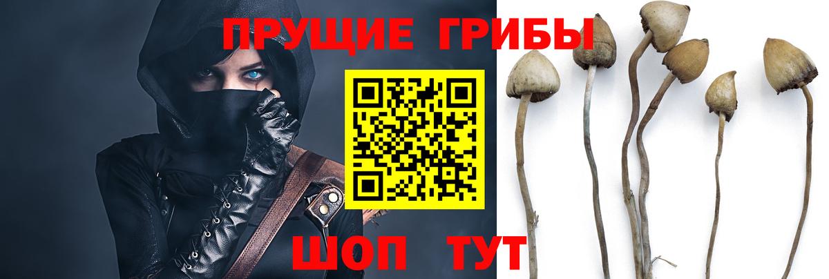 Туймазы  Галлюциногенные грибы MAGIC MUSHROOMS  Вход с VPN  Галлюциногенные грибы GOLDEN TEACHER 